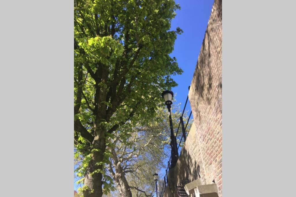 Werfkelder Aan De Oudegracht Apartment Utrecht Ngoại thất bức ảnh